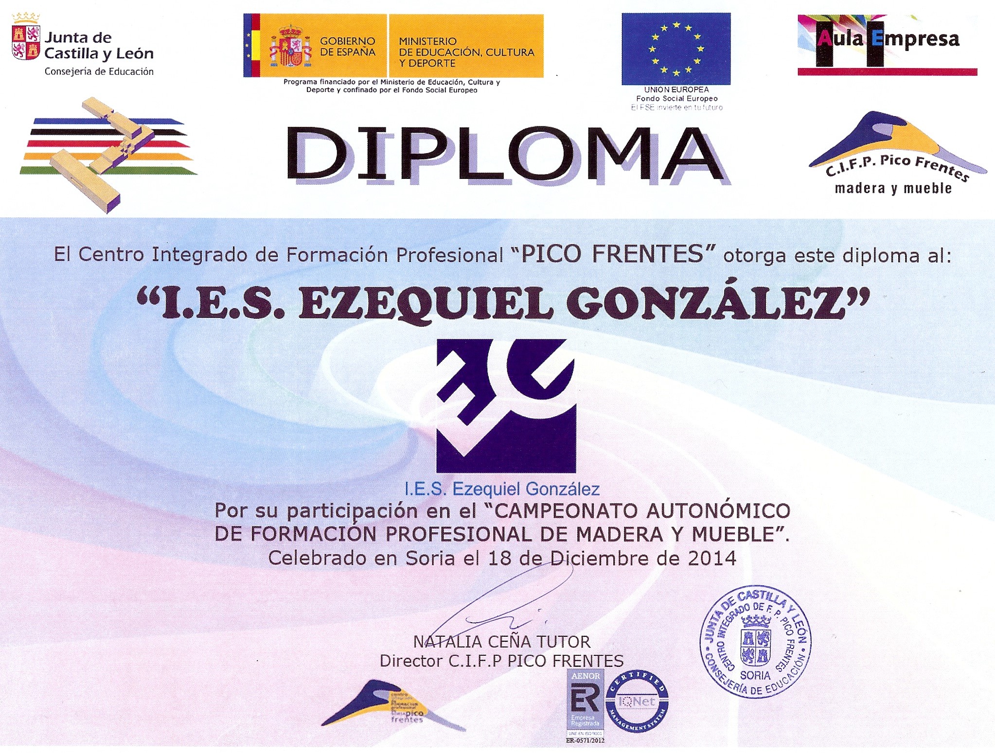 diploma skills soria2014